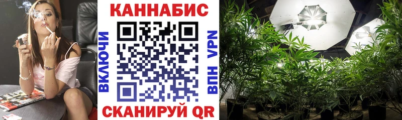 Купить где  Хадыженск  Бошки марихуана конопля 